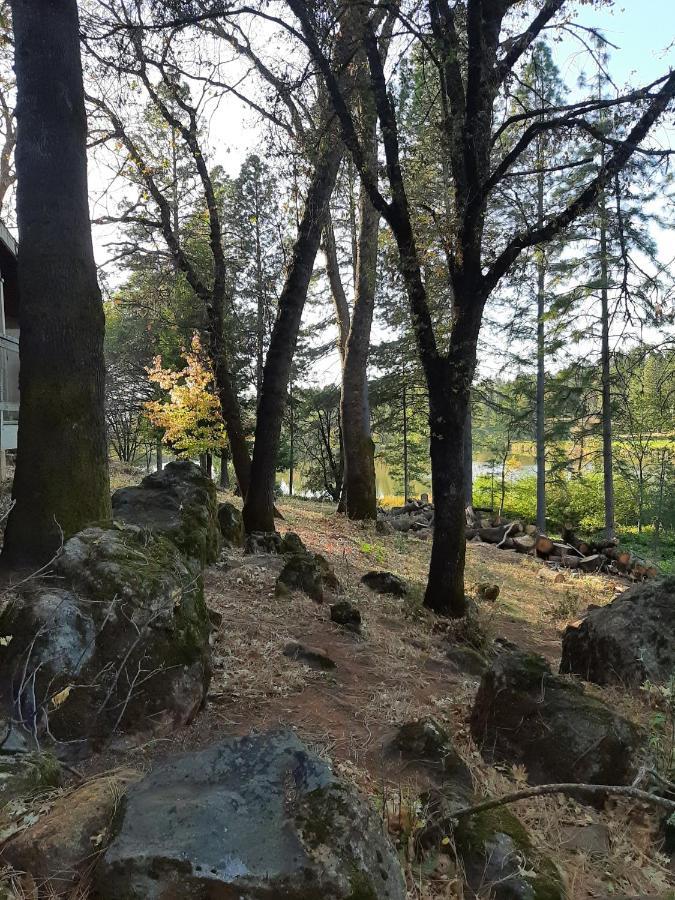 Alta Sierra Village Inn Grass Valley Buitenkant foto